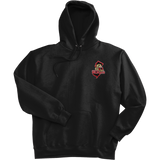Jersey Shore Wildcats Super Heavyweight Fleece Hoodie