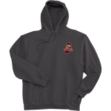 Jersey Shore Wildcats Super Heavyweight Fleece Hoodie