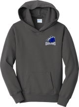 Brandywine Outlaws Youth Fan Favorite Fleece Pullover Hooded Sweatshirt